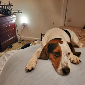 Meet your Posher, Miles